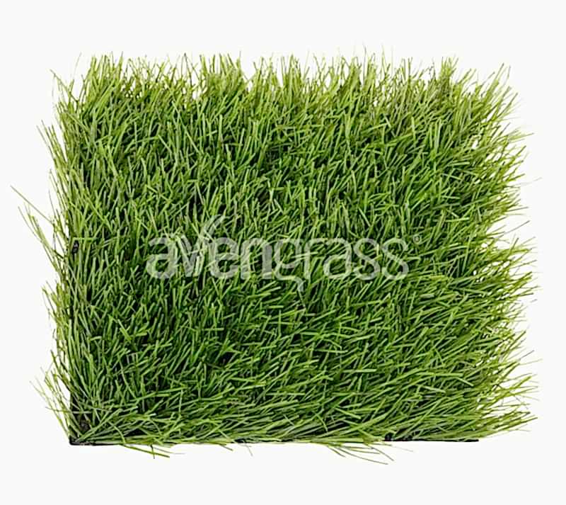 super c pr yapay çim - 2